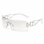 Bronfoto 1688 — c5_silvermirror.jpg (niet bedoeld voor de webshop)