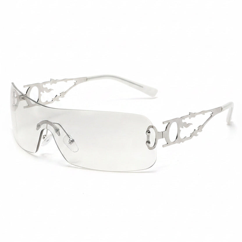 Bronfoto 1688 — c5_silvermirror.jpg (niet bedoeld voor de webshop)